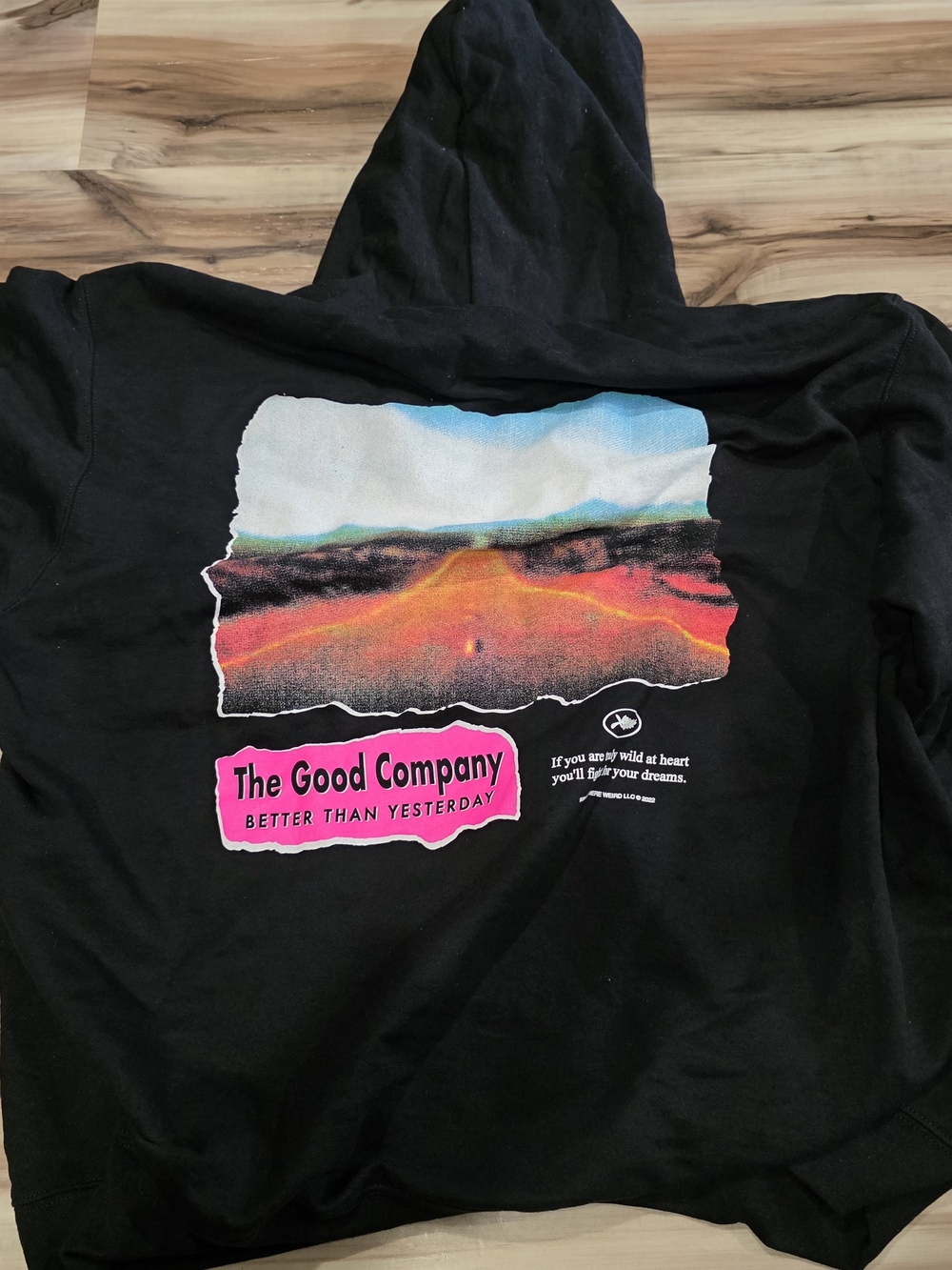 Champion Black Hoodie with Colorful Landscape Graphic